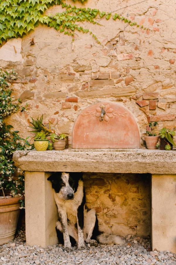 Agriturismo Il Rigo San Quirico dʼOrcia Eksteriør bilde